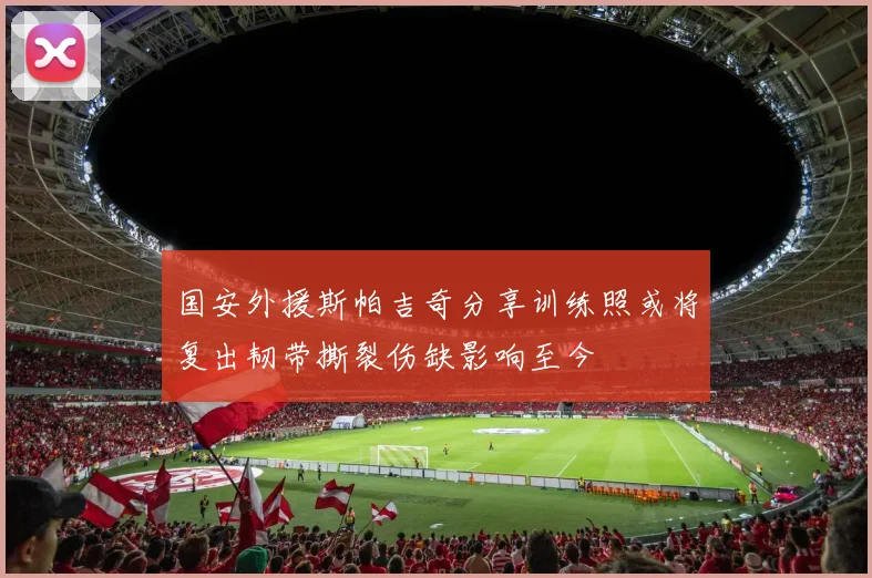 国安外援斯帕吉奇分享训练照或将复出韧带撕裂伤缺影响至今