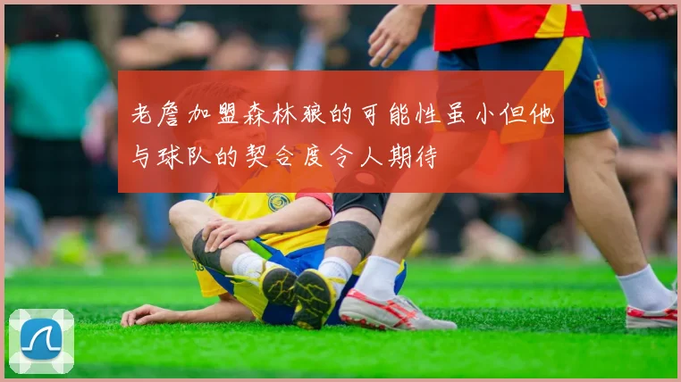老詹加盟森林狼的可能性虽小但他与球队的契合度令人期待